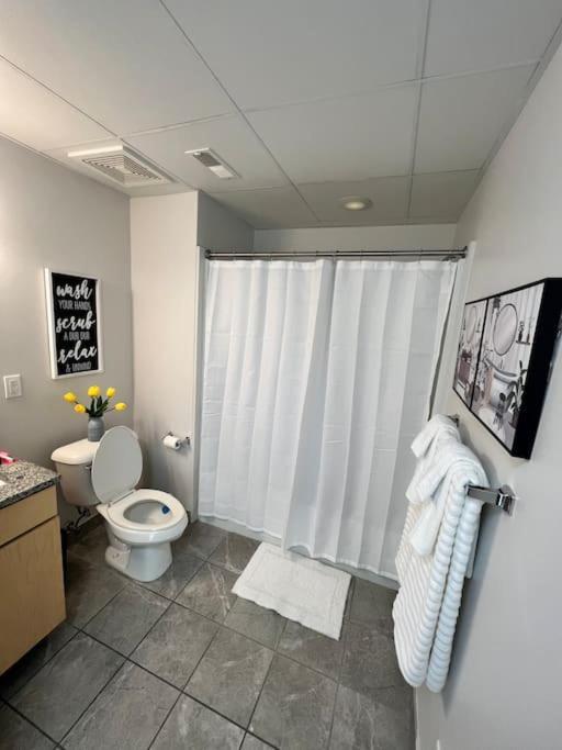 Apt Downtown With View Apartment *